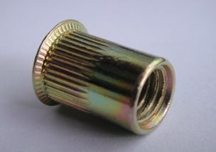 工廠直供，品質(zhì)保障 佛山市南海颶鑫五金制品廠鍍鋅M6小頭豎紋鉚螺母產(chǎn)品解析